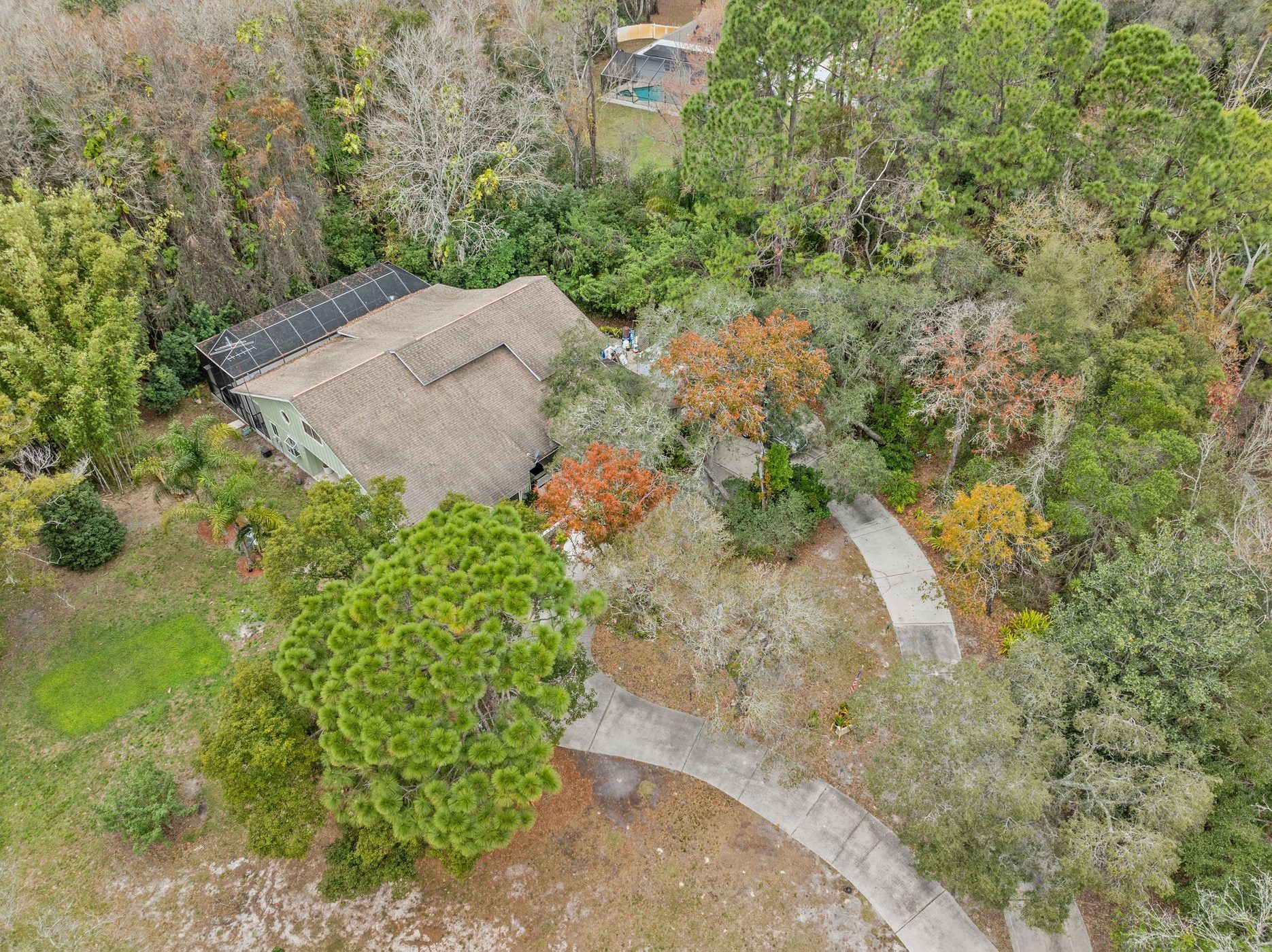 Aerial of the curved drive and the house among the trees